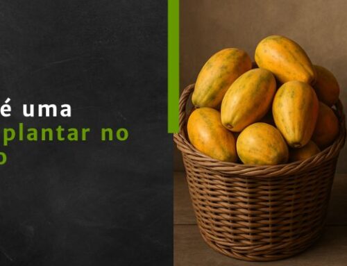 Como estruturar a prospecção B2B sem cair na armadilha dos 90 dias